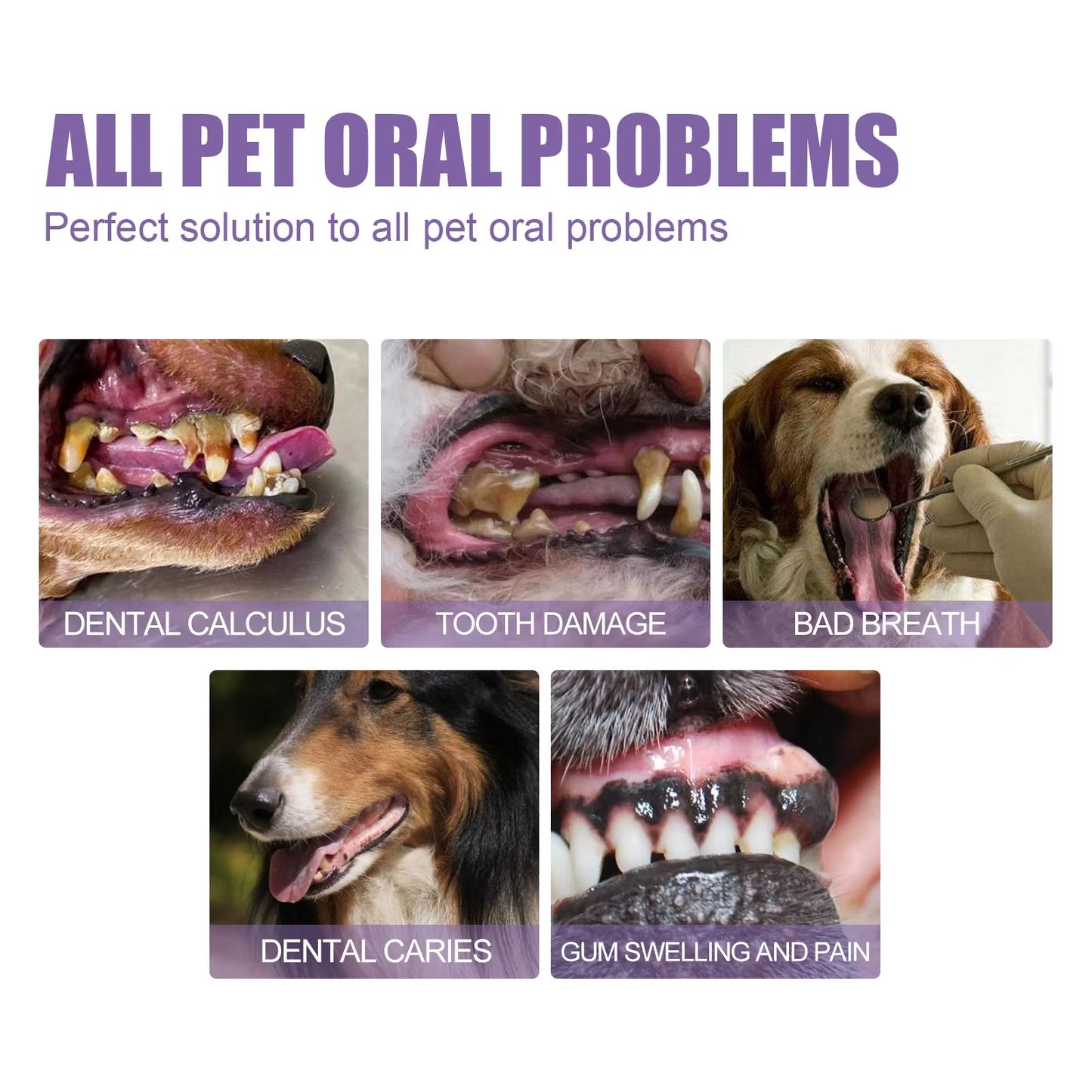 Pet Oral Repair Gel Puppy Tartar Removal Odor Eliminator Whiten Cats Dogs Teeth Stain Remover Gum Care Pet Teeth Cleaning Gel